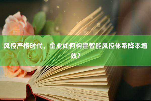 风控严格时代，企业如何构建智能风控体系降本增效？