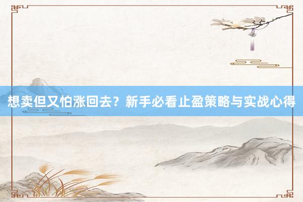 想卖但又怕涨回去？新手必看止盈策略与实战心得