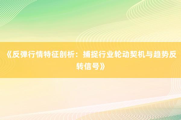《反弹行情特征剖析：捕捉行业轮动契机与趋势反转信号》