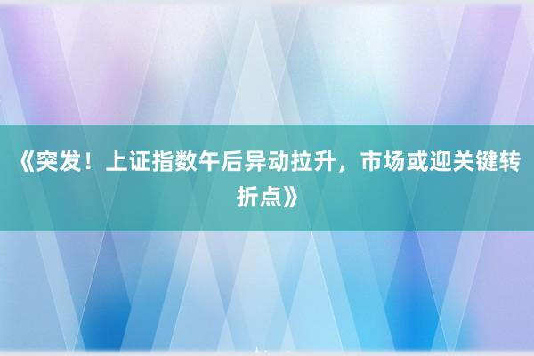 《突发！上证指数午后异动拉升，市场或迎关键转折点》