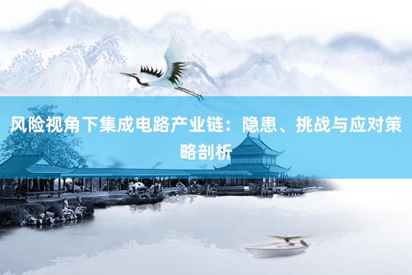 风险视角下集成电路产业链：隐患、挑战与应对策略剖析