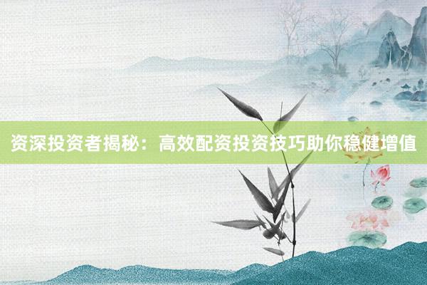 资深投资者揭秘:高效配资投资技巧助你稳健增值