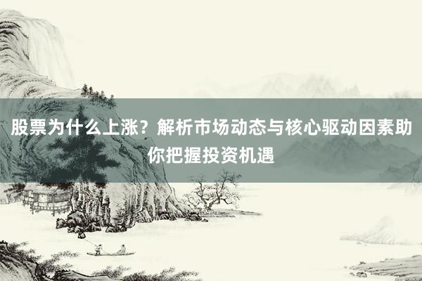 股票为什么上涨？解析市场动态与核心驱动因素助你把握投资机遇