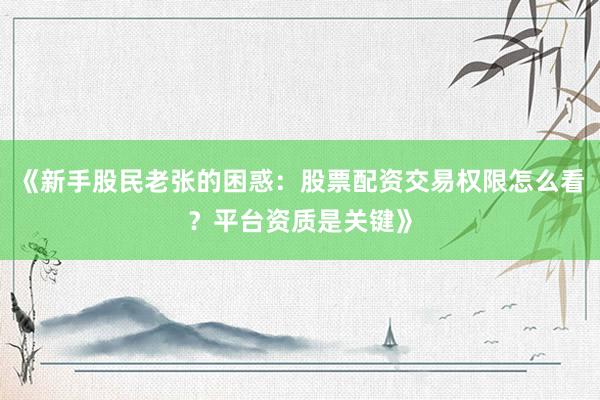 《新手股民老张的困惑：股票配资交易权限怎么看？平台资质是关键》