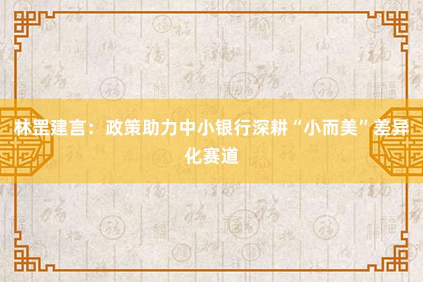 林罡建言：政策助力中小银行深耕“小而美”差异化赛道