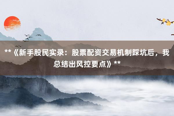 **《新手股民实录：股票配资交易机制踩坑后，我总结出风控要点》**